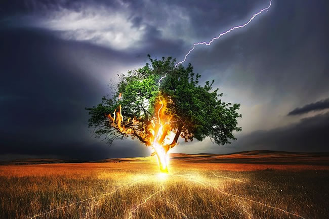 Lightning hitting the tree